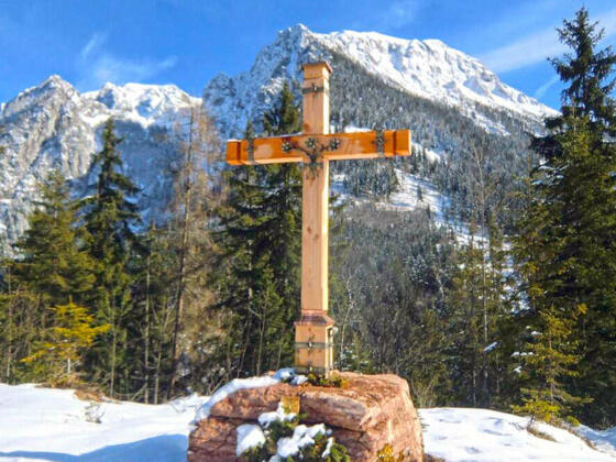 Brankopf © Ann-Kathrin Helbig