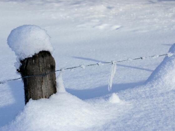 Winter in der Schönau