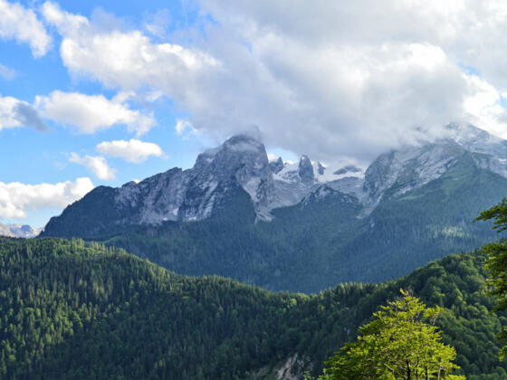 Blick vom Grünstein zum Watzmann