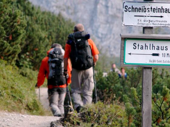 Auf dem Weg zum Schneibsteinhaus