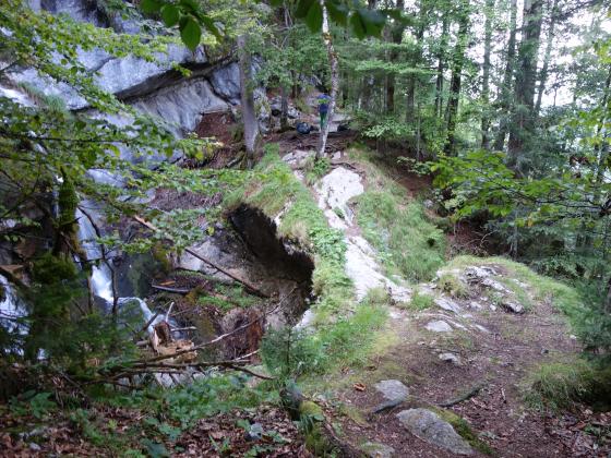 Naturbrücke am Schrainbach