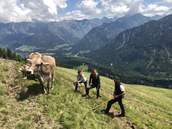 soelleralpe_aelplergespraech