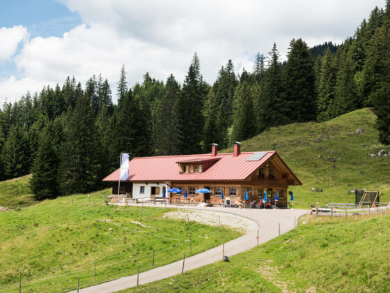 Aus dem Alltag eines Alphirten - Alpwanderung zur Alpe Hörnle im Naturpark Nagelfluh
