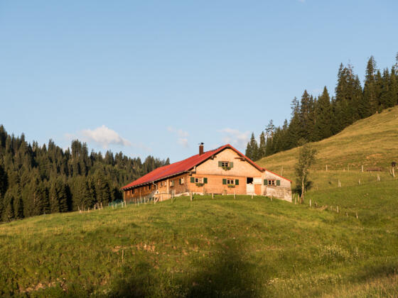 Schwabenalpe im Lochbachtal