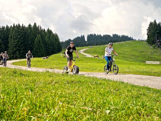 Downhill Roller in Ofterschwang im Allgäu