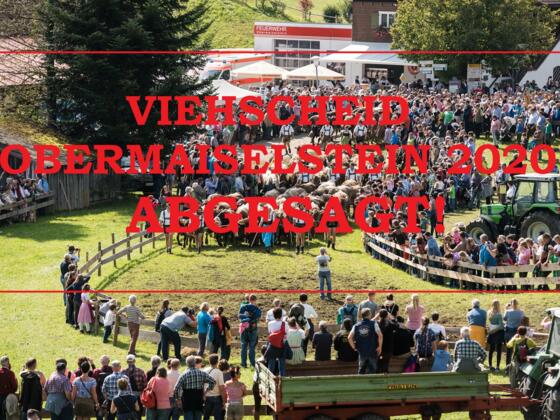 Viehscheid Obermaiselstein 2020 abgesagt