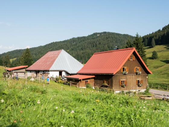 Alpe Schattwald im Rohrmoostal