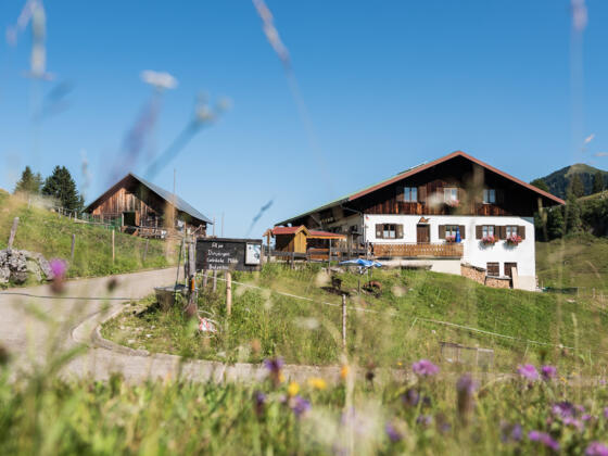 Blick auf die Alpe Dinjörgen im Lochbachtal bei Obermaiselstein