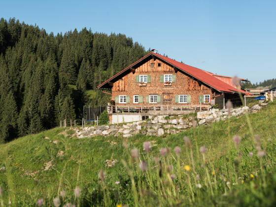 Freyburger Alpe im Lochbachtal
