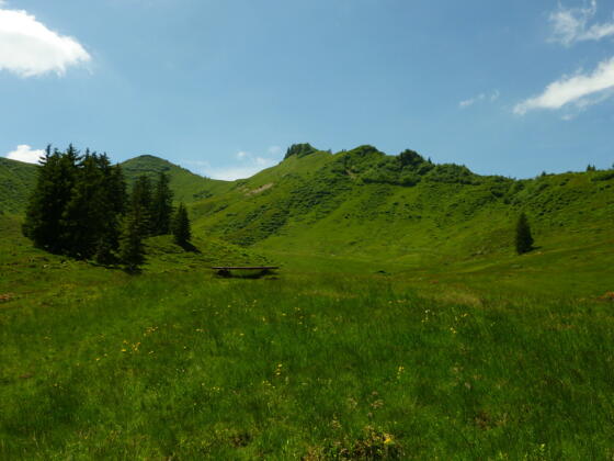 Gipfel des Riedbergerhorns