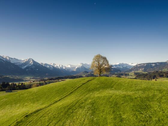 Wittelsbacher Höhe im Frühjahr