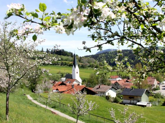 OrtsansichtMissenFrühling