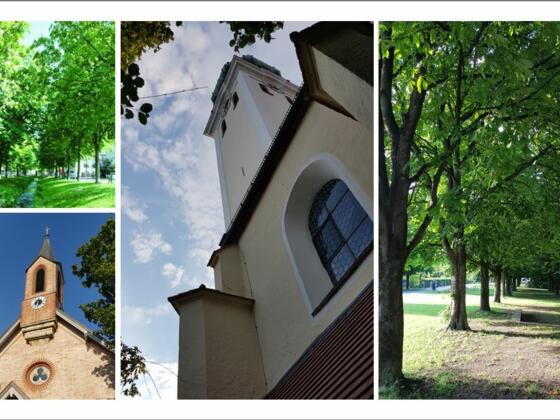 Über Stock und Stein über die Perlacher Schotterzunge