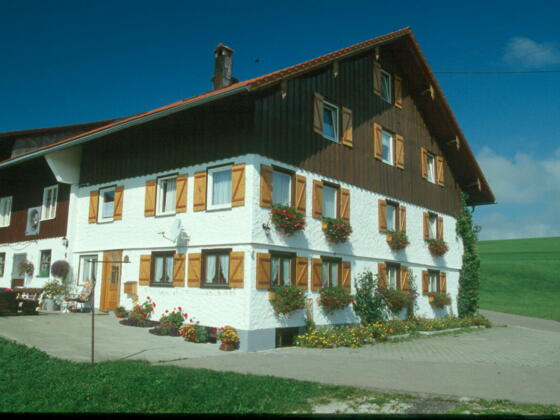 birkannihellengerstvorn