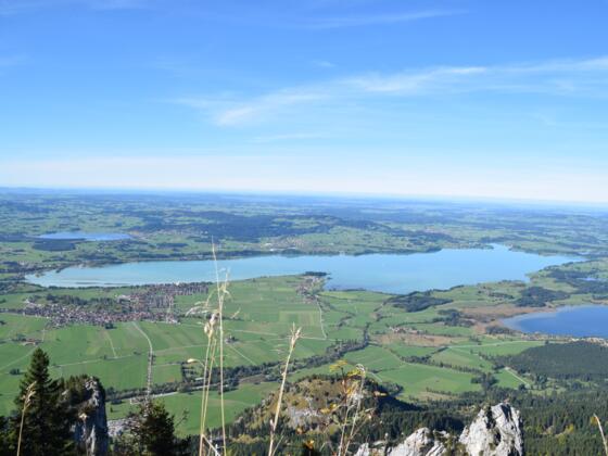 Ausblick vom Tegelberg auf den Forggensee und das Voralpenland