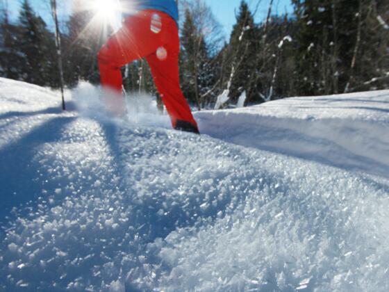 Schneeschuhtour