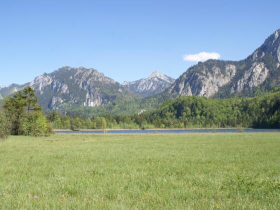 Der Schwanseepark mit Blick auf den Schwansee und Schloss Neuschwanstein