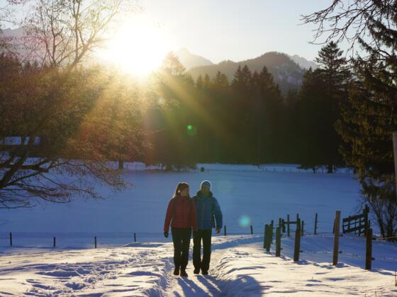 Wanderweg in Richtung Tegelbergbahn