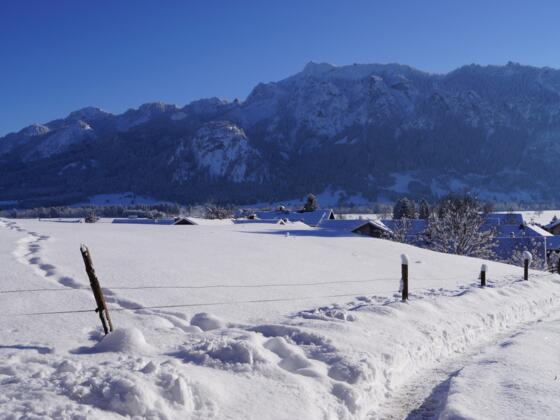 Blick Richtung Tegelberg