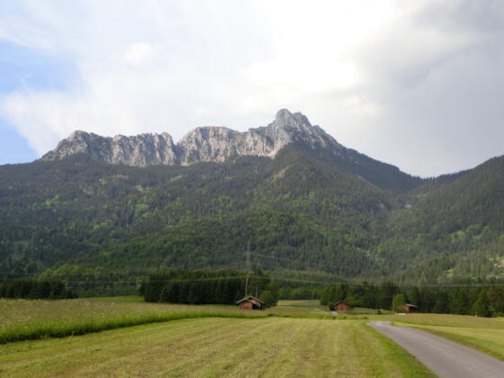 Blick von Pflach zum Säuling