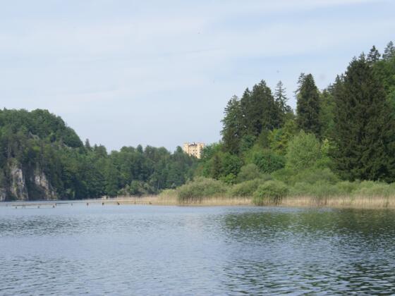 Gemeinde Schwangau