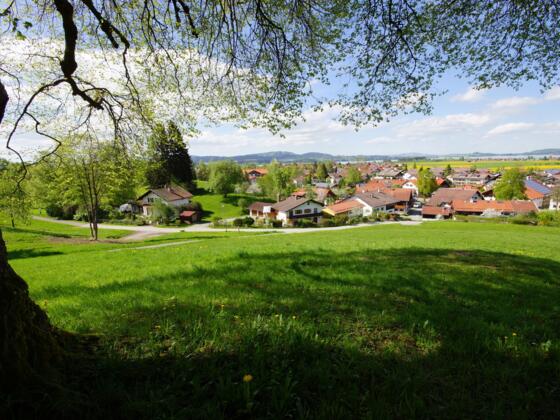 Schwangau vom Kurpark aus