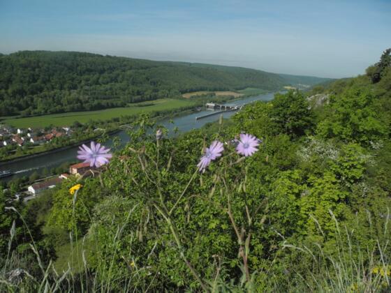 Blick von Ihrlerstein ins Altmühltal