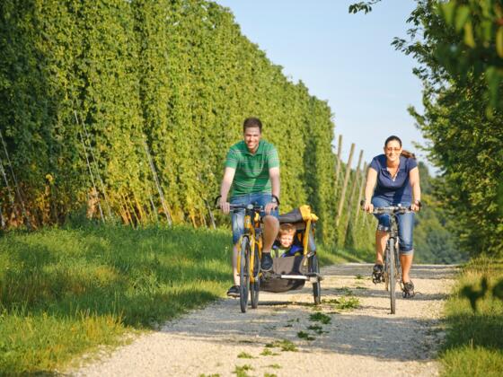Radfahren im Hopfenland Hallertau
