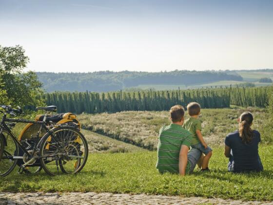 Rast im Hügelland der Hallertau