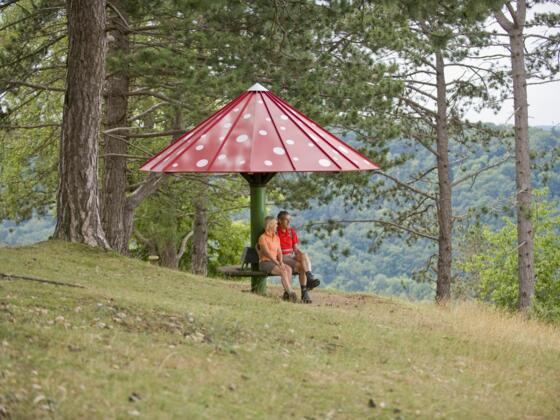 Aussichtspunkt "Schwammerl" in Riedenburg im Altmühltal