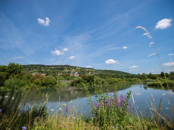 Stadtweiher Riedenburg