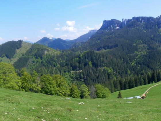 Schwarzenberg und Erlbergkopf links, Gedererwand rechts