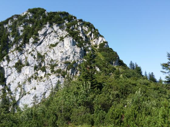 Durch die Rinne im rechten Teil der Wand führt der Steig