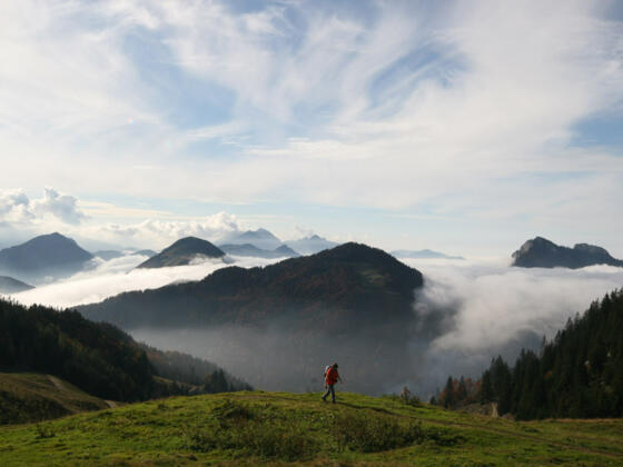 Oberhalb Spitzsteinhaus
