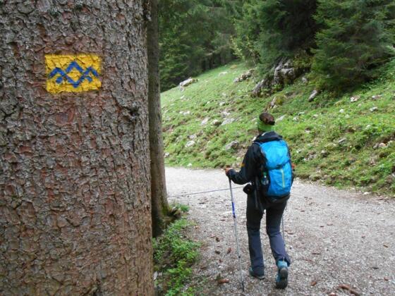 Auf dem Weg zur Riesenhütte führt auch eine SalzAlpenTour