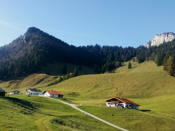 Daffnerwald Almen unterhalb des Heubergs