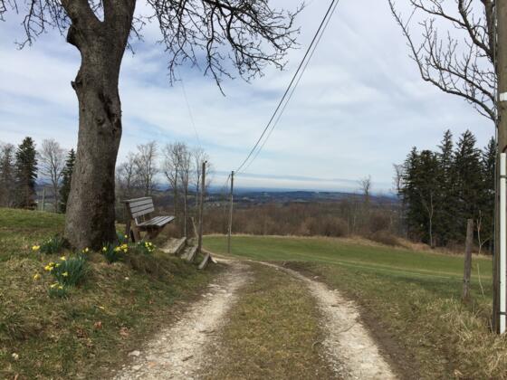 Von Vordergschwendt Richtung Abendmahlkapelle