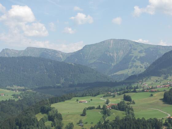 Blick auf den Hochgrat. 