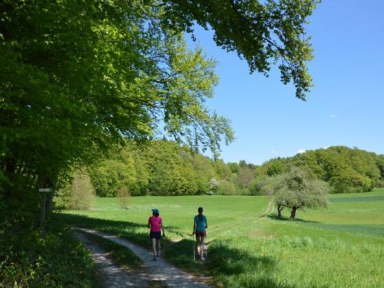 Auf der Jurahöhe zwischen Ebermannstadt und Wiesenttal