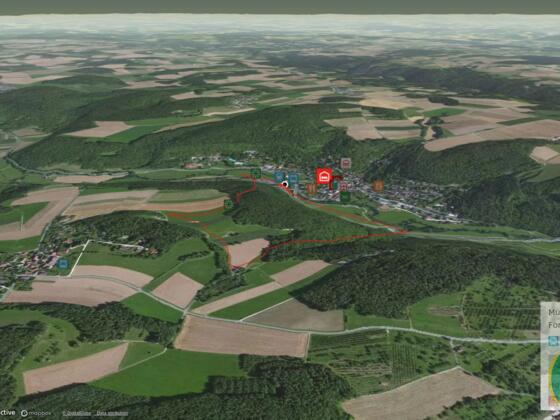 Wanderung in der Fränkischen Schweiz: zum Frauenstein ~ oberhalb von Muggendorf