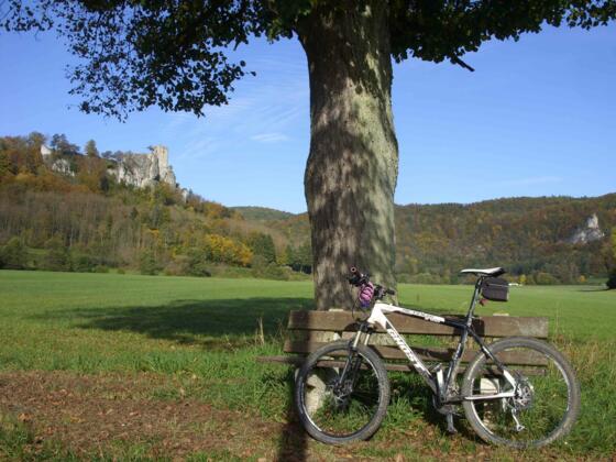 zur Burgruine Neideck