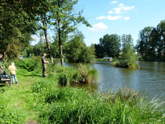 Ein wunderschöner Platz zum Angeln ist auch der Überleiter in Pfofeld- idyllisch und ruhig.