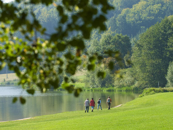 Wandern direkt am Ufer des Hahnenkammsees bei Hechlingen.