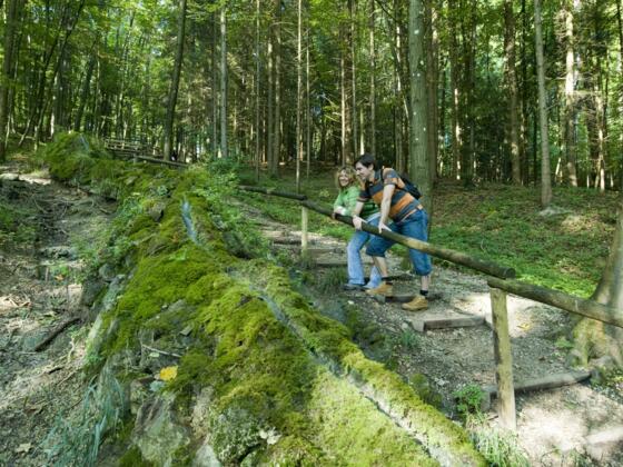 Steinerne Rinne in Wolfsbronn.