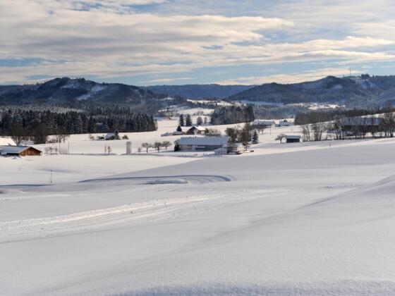 Voralpenland bei Maierhöfen Isny