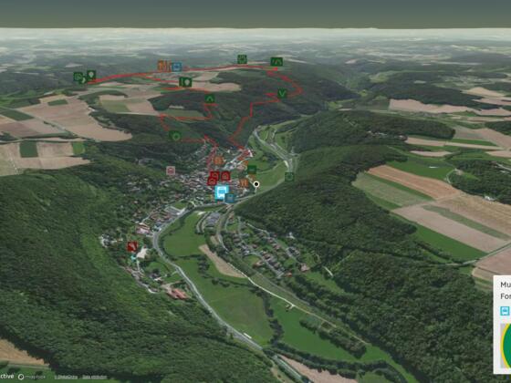Wanderung in der Fränkischen Schweiz: Wiesenttal-Trail Ostschleife Muggendorf-Engelhardsberg