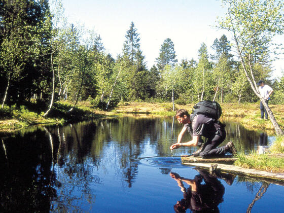 Auf dieser Tour erleben wir nahezu unberührte Natur.
