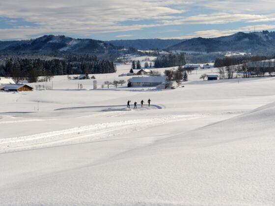 Langlauf im Voralpenland bei Isny Maierhöfen