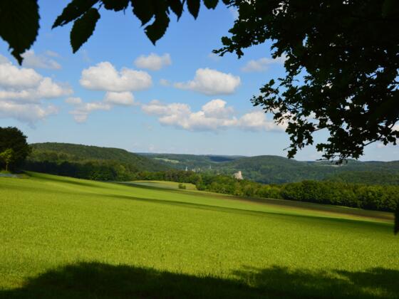 Blick von Osten zur Neideck