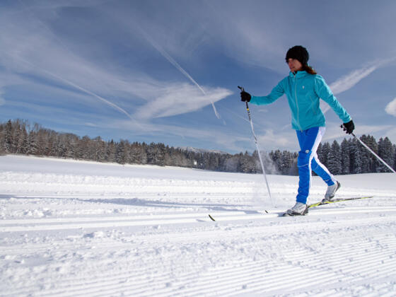 Klassik-Training auf der Gschwendloipe nahe Biesenweiher